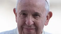 Papst Franziskus bei der Generalaudienz am 6. November 2019 / Daniel Ibanez / CNA Deutsch