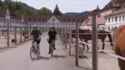 Der Marstall des Klosters Einsiedeln