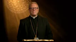 Bischof Robert Barron / Screenshot von YouTube