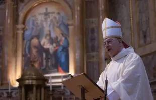Kardinal Gianfranco Ghirlanda SJ / Daniel Ibáñez / CNA Deutsch