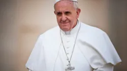 Papst Franziskus bei der Generalaudienz im Vatikan am 17. April 2013. / Mazur/catholicnews.org.uk.
