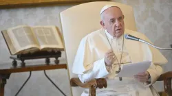 Papst Franziskus bei der Generalaudienz / Vatican Media