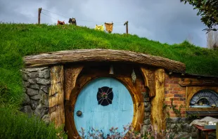 "Hobbiton" in Neuseeland: Hier wurde unter anderem der "Herr der Ringe" verfilmt. / Robin Noguier / Unsplash (CC0) 