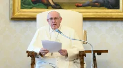 Papst Franziskus bei der Generalaudienz am 13. Mai 2020 / Vatican Media / CNA Deutsch