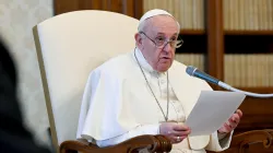 Papst Franziskus spricht bei der digitalen Generalaudienz aus dem Apostolischen Palast des Vatikans am 3. Februar 2020. / Vatican Media / CNA Deutsch