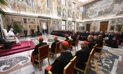 Papst Leo XIV. mit den Mitgliedern des Dikasteriums für die Glaubenslehre / Vatican Media