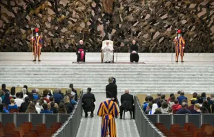 Generalaudienz mit Papst Franziskus / Foto: Vatican Media