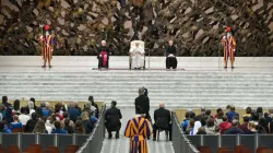 Generalaudienz mit Papst Franziskus / Foto: Vatican Media