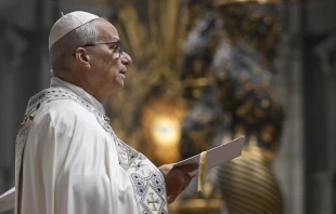 Papst Leo XIV. / Vatican Media