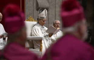 Papst Leo XIV. / Vatican Media