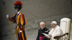 Papst Franziskus bei der Generalaudienz am 21. Dezember 2022 / Vatican Media