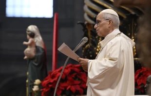 Papst Leo XIV. / Vatican Media