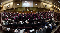 Papst Franziskus spricht zu den Teilnehmern des Krisengipfels im Vatikan am 21. Februar 2019 / Vatican Media