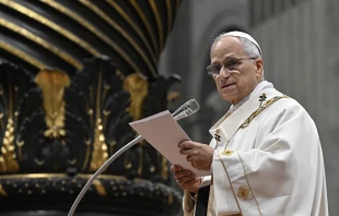 Papst Leo XIV. / Vatican Media