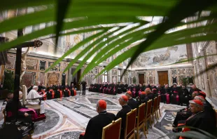 Papst Franziskus mit Vertretern des Dikasteriums für den Gottesdienst und die Sakramentenordnung / Vatican Media