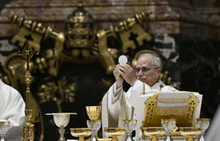 Papst Leo XIV. / Vatican Media