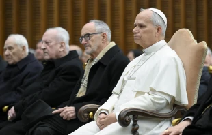 Papst Leo XIV. / Vatican Media