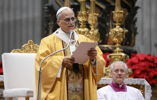 Papst Leo XIV. / Vatican Media