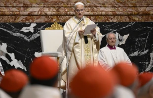 Papst Leo mit Kardinälen / Vatican Media