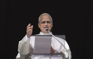 Papst Leo XIV. / Vatican Media