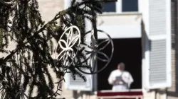 Angelus im Advent: Papst Franziskus beim traditionellen Mittagsgebet in der Vorweihnachtszeit / Daniel Ibanez / CNA Deutsch 