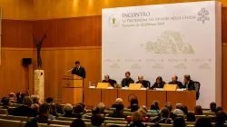 Pressekonferenz im Rahmen des Krisengipfels zur Missbrauchskrise der Kirche im Vatikan am 24. Februar 2019 / Daniel Ibanez / CNA Deutsch
