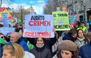 "Abtreibung ist ein Verbrechen, das sich als Lösung tarnt" und Die Größe deines Körpers nimmt dir nicht deine Rechte" sind einige der Plakate, die Pro-Life Demonstranten am Sonntag, den 10. März 2024 in Madrid, Spanien, hochhalten. / Nicolás de Cárdenas/ACI Prensa