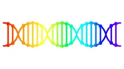 LGBT Regenbogen-DNA-Karte / Shutterstock