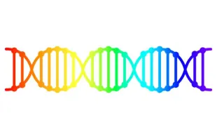 LGBT Regenbogen-DNA-Karte / Shutterstock
