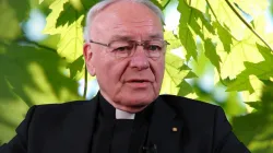 Bischof Heinz Josef Algermissen / screenshot / YouTube / Bistum Fulda