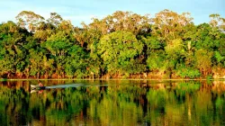 Amazonas-Ufer / Andrea Deak (CC0) 