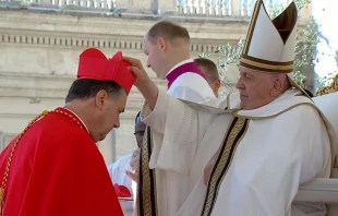 Kardinalserhebung von Ángel Fernández Artime SDB / screenshot / YouTube / DonBoscoParaguay