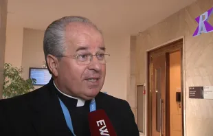 Erzbischof Jurkovic im Interview mit EWTN am 15. November. / (C) Pax Press Agency, SARL, Geneva