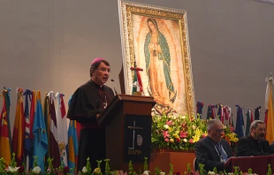 Erzbischof Christophe Pierre spricht am Schrein der Jungfrau von Guadalupe in Mexiko am 16. November 2013. / CNA/Michelle Bauman