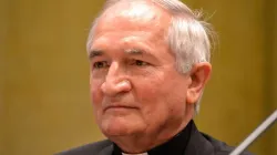 Erzbischof Silvano Tomasi / Daniel Ibanez / CNA Deutsch 