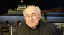 Kardinal Walter Brandmüller / CNA/Martha Calderon