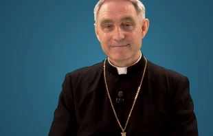 Erzbischof Georg Gänswein / Screenshot / EWTN
