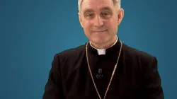 Erzbischof Georg Gänswein / Screenshot / EWTN