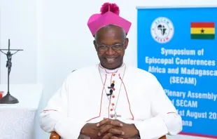 Kardinal Richard Baawobr MAfr / screenshot / YouTube / APO Group