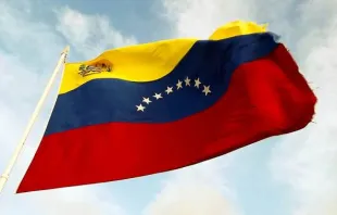 Flagge Venezuelas / Flickr / Anyul Rivas (CC BY-2.0)