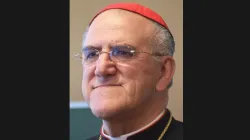 Kardinal Javier Lozano Barragán / Gemeinfrei