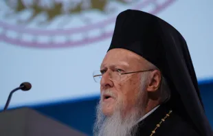 Patriarch Bartholomaios / Arctic Circle / Wikimedia Commons (CC BY 2.0)