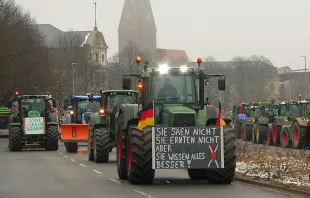 Bauernprotest in Hannover / Axel Hindemith / Wikimedia Commons (CC BY-SA 3.0 DE)