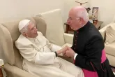 Benedikt XVI. erhielt Besuch von einem alten Priesterfreund
