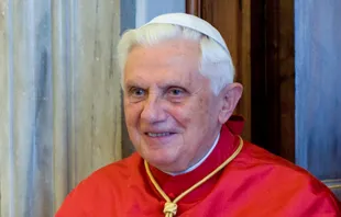 Papst Benedikt XVI. im Jahr 2009 / gemeinfrei