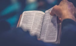 Bibel / Rod Long / Unsplash