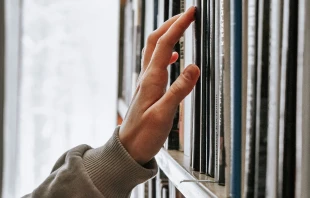 Bibliothek (Symbolbild) / Guzel Maksutova / Unsplash