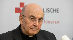 Bischof Felix Genn  / Bistum Münster 