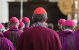 Bischöfe (Symbolbild) / Deutsche Bischofskonferenz / Marko Orlovic