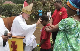 Bischof Donald Lippert segnet ein Kind im Bistum Mendi (Papua Neuguinea)  / Mit freundlicher Genehmigung der Diözese Mendi